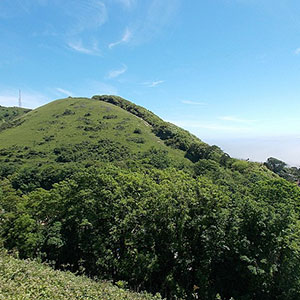 Image representing the Springs of St Boniface Down